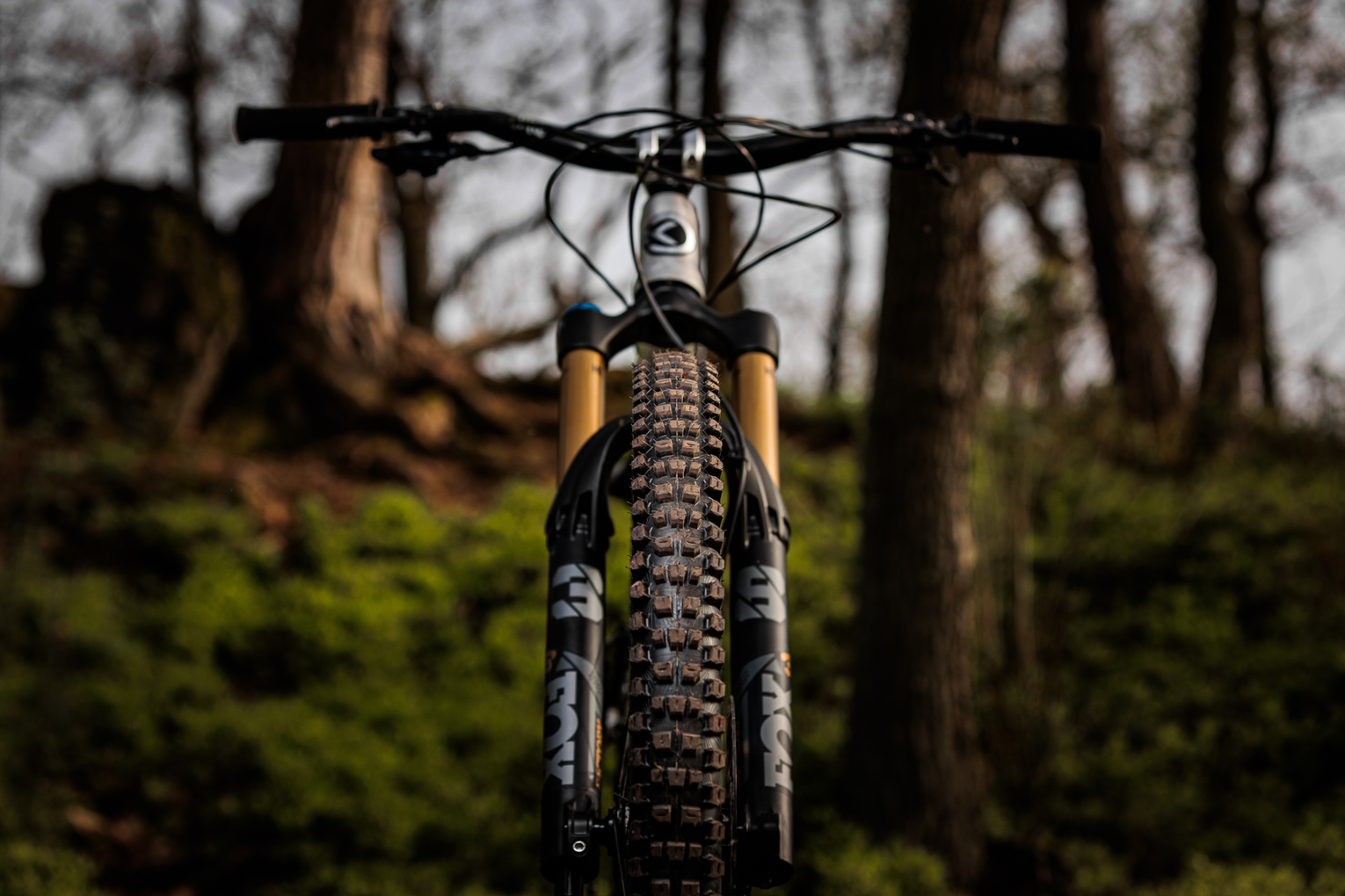 EPIC BIKE CONTINENTAL 1